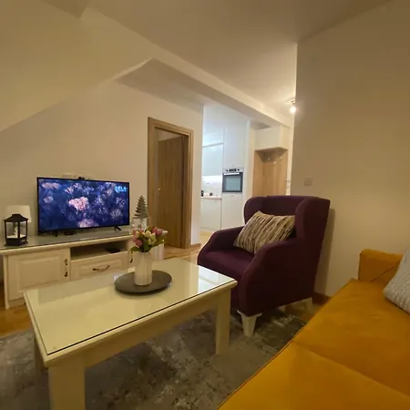 Apartament Tira Wellness I *