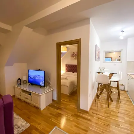 Tira Wellness I Apartman Zlatibor